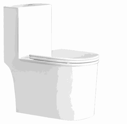 Ceramic one-piece toilet with closed seat